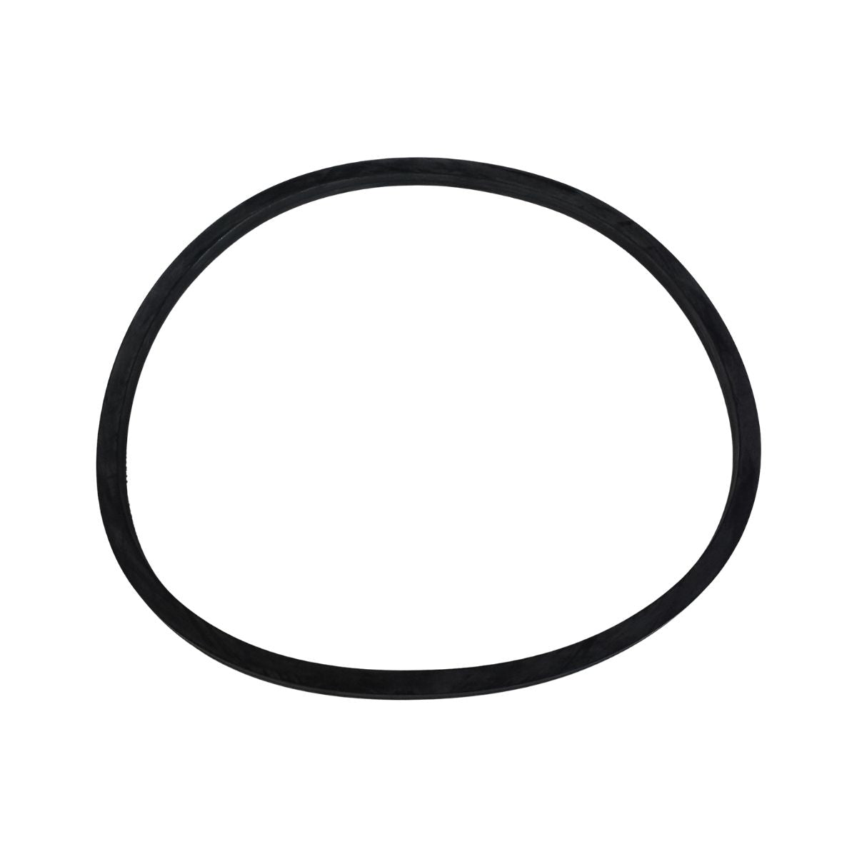 Apollo A4904-B 2.5 Gallon Pressure Pot Gasket