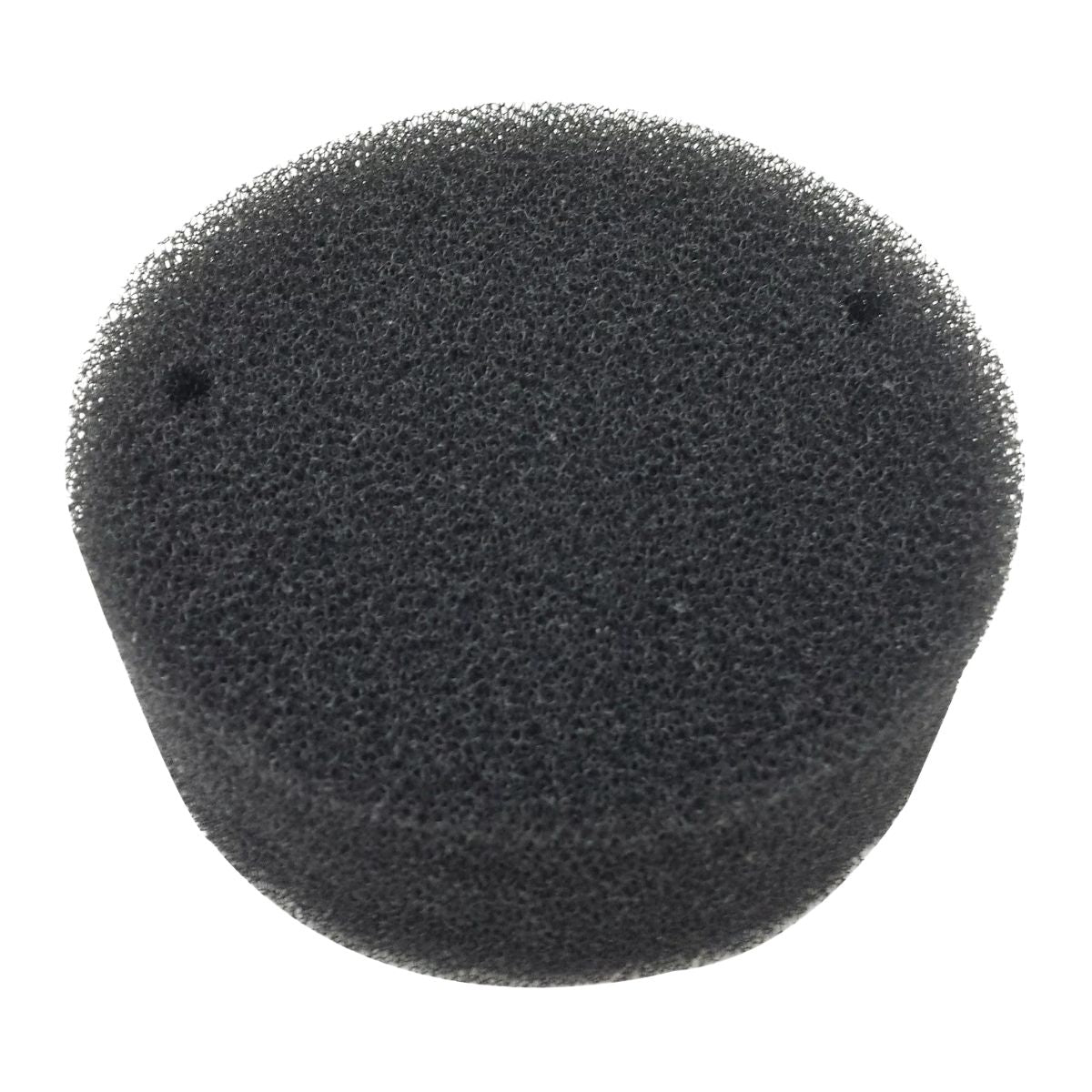 Apollo Part E3001-2 Foam Filter - 1 Pair