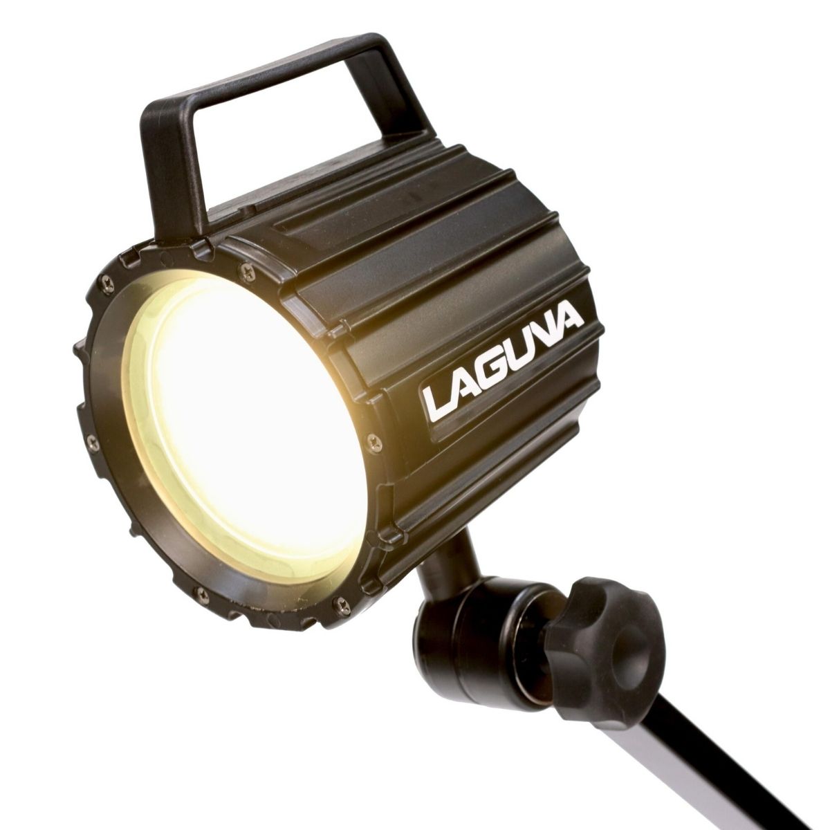 Laguna LED Chameleon Lamp