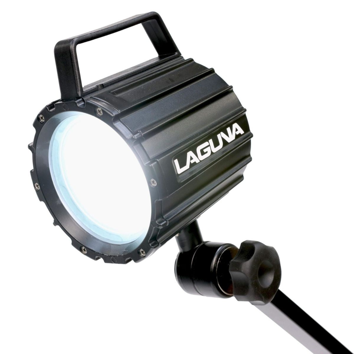 Laguna LED Chameleon Lamp