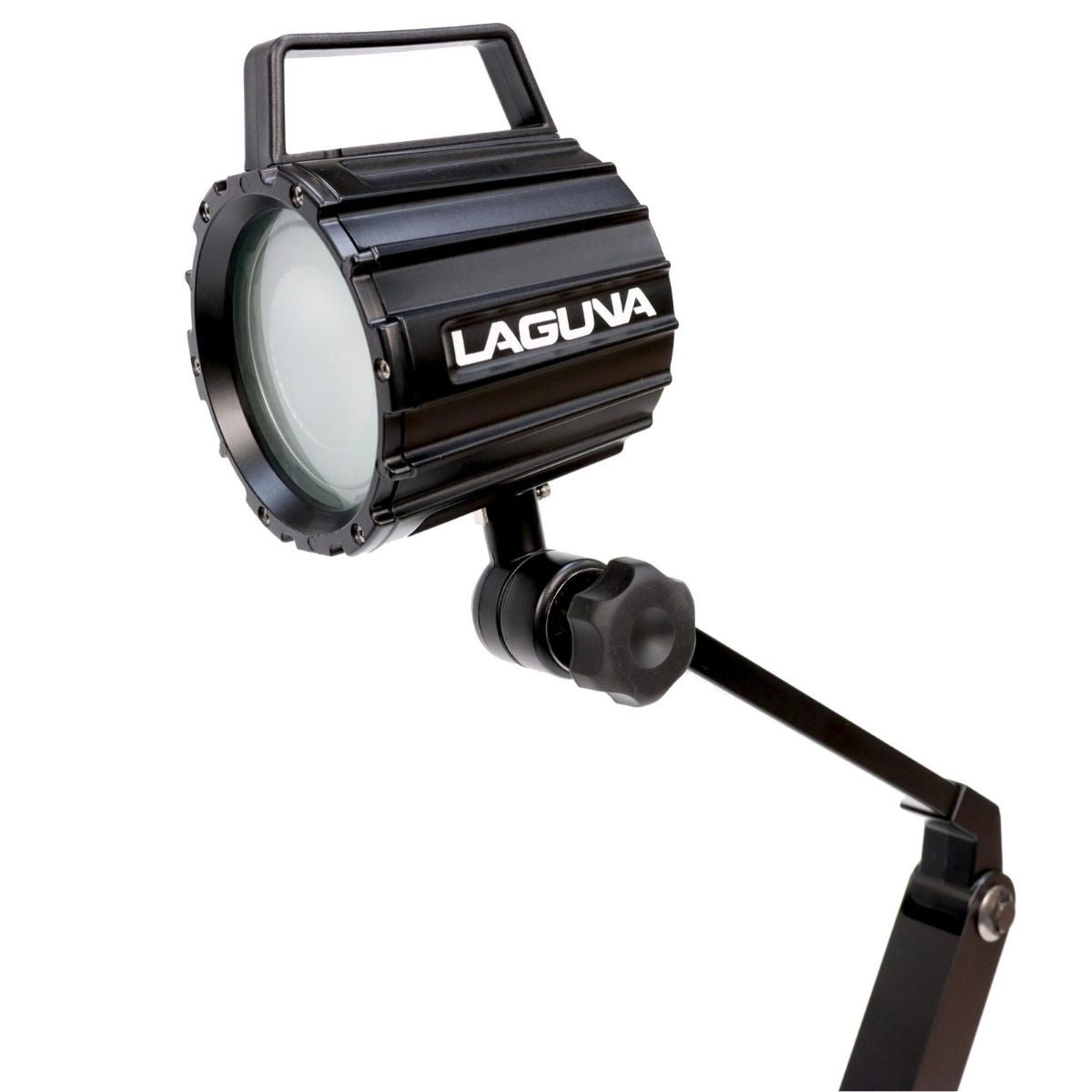 Laguna LED Chameleon Lamp