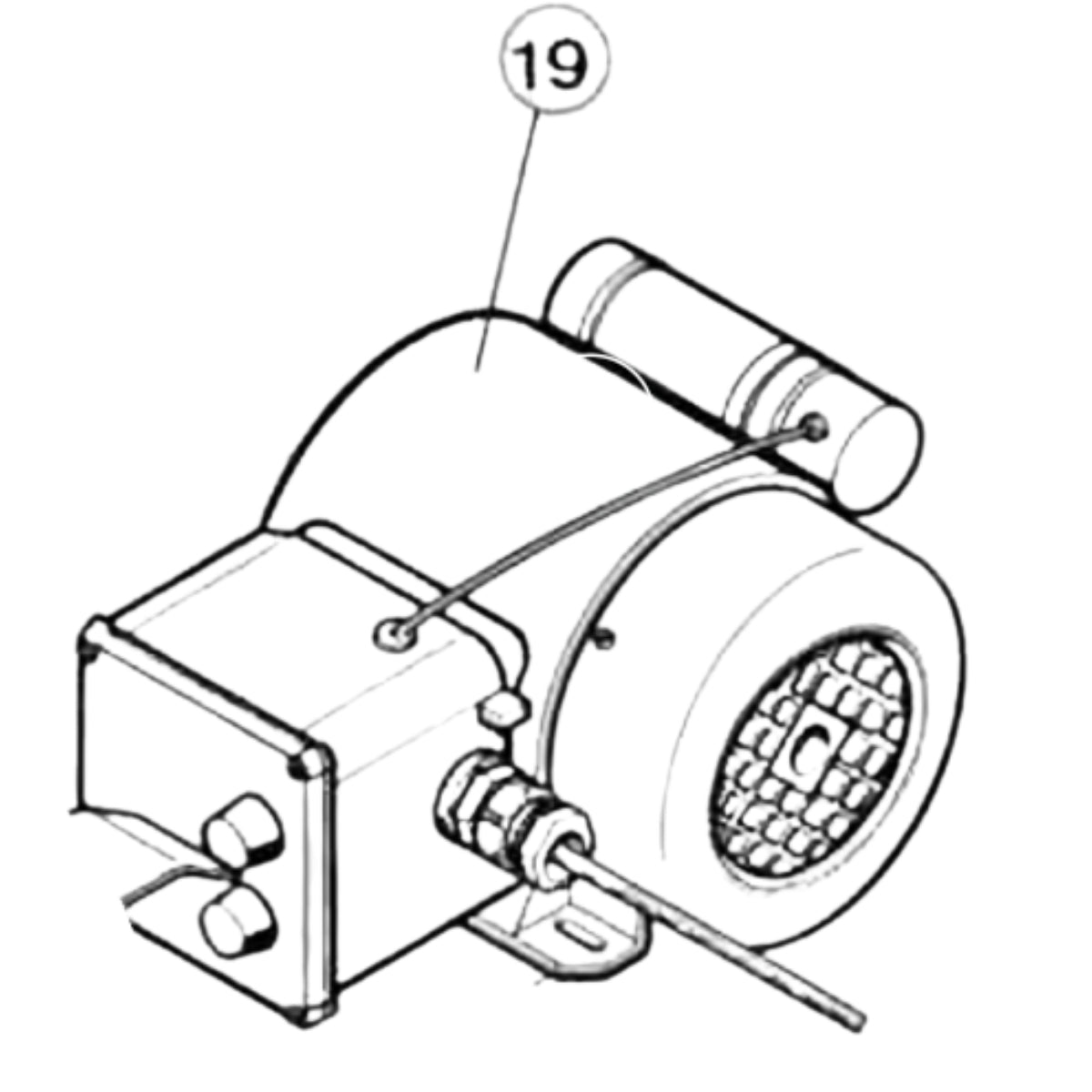 Polymax Part Number 019 : POLYMAX MOTOR